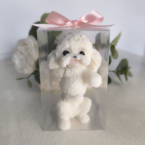 Perro caniche | Caja de acetato