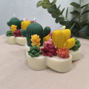 Jardín cactus y suculentas en base flor