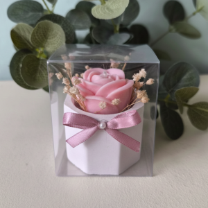 Macetita con rosa | Caja de acetato