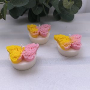 Mariposa bicolor en base blanca