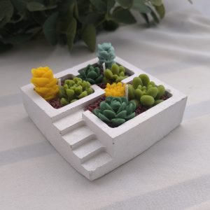 Jardín de suculentas