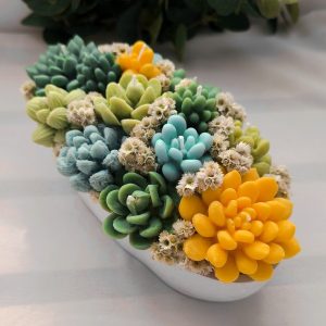 Arreglo floral tazón largo suculentas