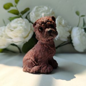 Perrito Terrier Café