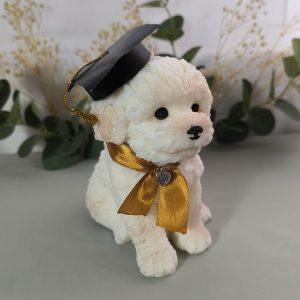 Perro Grande Graduación blanco | Caja de acetato