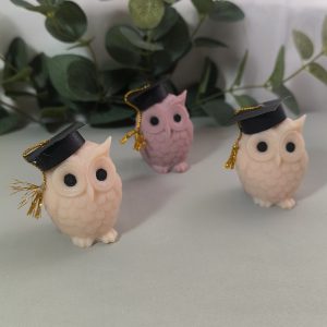 Búho graduación
