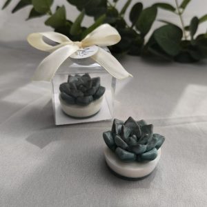 Suculenta | Acetato y moño