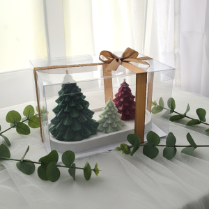 Juego de 3 pinos con base | Caja acetato