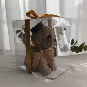 Perro Grande Graduación capuchino | Caja de acetato