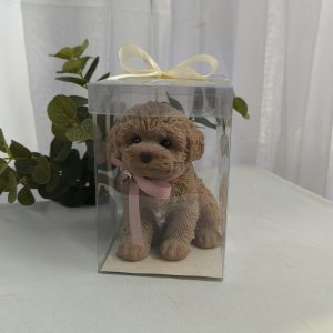 Perro Grande capuchino | Caja de acetato