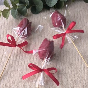 Tulipanes estilo paleta
