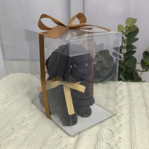 Perro Grande Negro | Caja de acetato