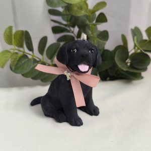 Perro labrador