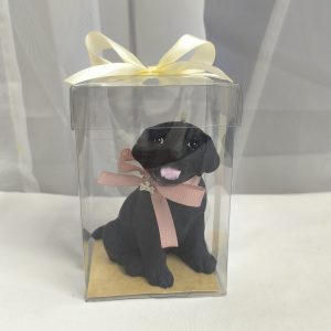 Perro labrador | Caja de acetato