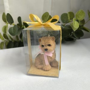 Perro Terrier capuchino | Caja de acetato