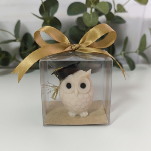 Búho graduación | Caja de acetato