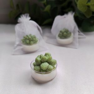 Vasito plástico Suculenta