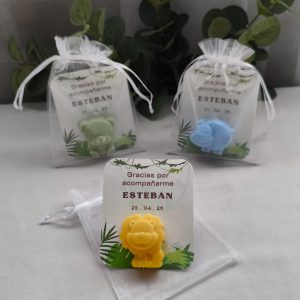 Dinosaurios mixtos | Tarjeta y bolsa tul