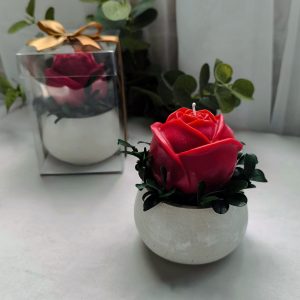 Maceta con rosa grande | Caja de acetato