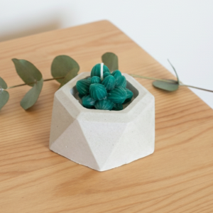 Maceta hexagonal con suculenta